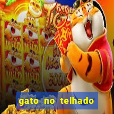 gato no telhado significado espiritual